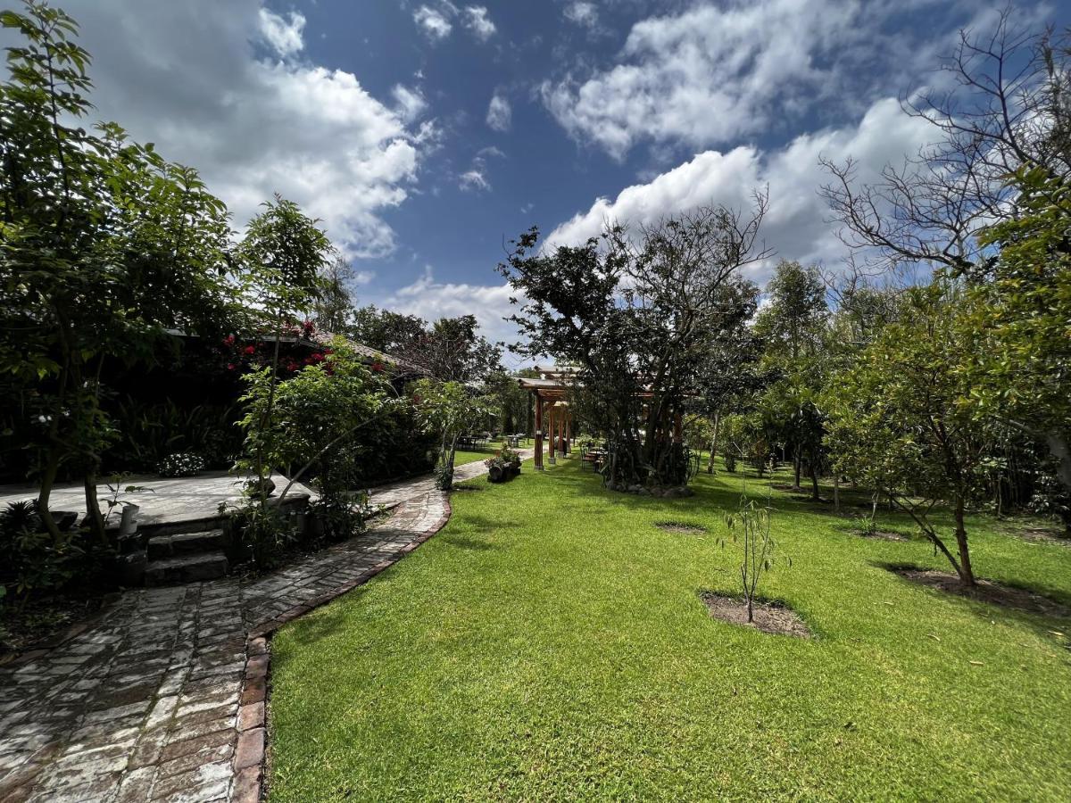 Hacienda Jimenita Wildlife Reserve Puembo المظهر الخارجي الصورة